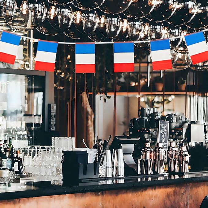 France Flag Small Mini French Flag Banner Decorations for Parades, Parties, Classrooms, Gardens, and Festivals (France)