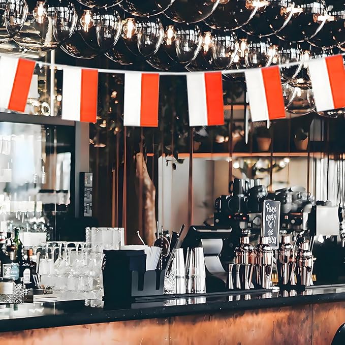 Poland Flag Small Mini Polish Flag Banner Decorations for Parades, Parties, Classrooms, Gardens, and Festivals (Poland)