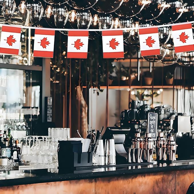 Canada Flag Small Mini Canadian Flag Banner Decorations for Parades, Parties, Classrooms, Gardens, and Festivals (Canada)