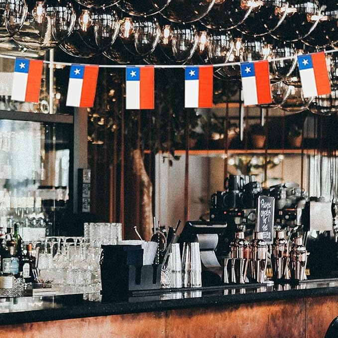 Chile Flag Small Mini Chilean Flag Banner Decorations for Parades, Parties, Classrooms, Gardens, and Festivals (Chile)