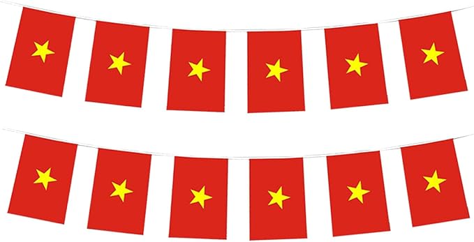 Vietnam Flag Small Mini Vietnamese Flag Banner Decorations for Parades, Parties, Classrooms, Gardens, and Festivals (Vietnam)