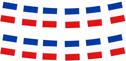 France Flag Small Mini French Flag Banner Decorations for Parades, Parties, Classrooms, Gardens, and Festivals (France)