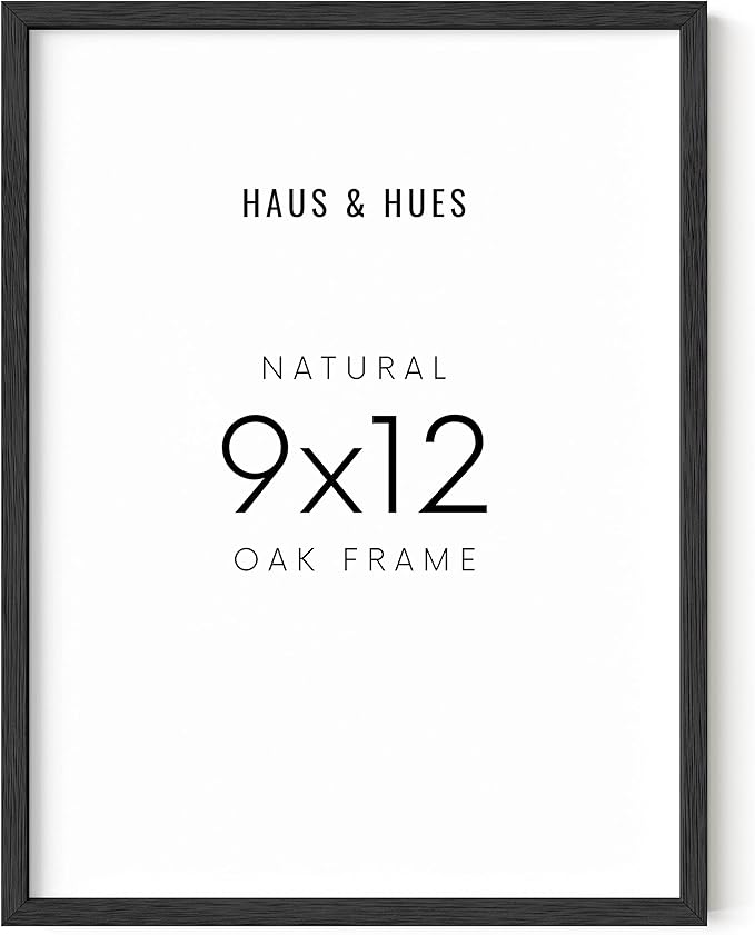 HAUS AND HUES 9x12 Black Oak Frame - Poster Holder and Wall Display (Wood Finish)