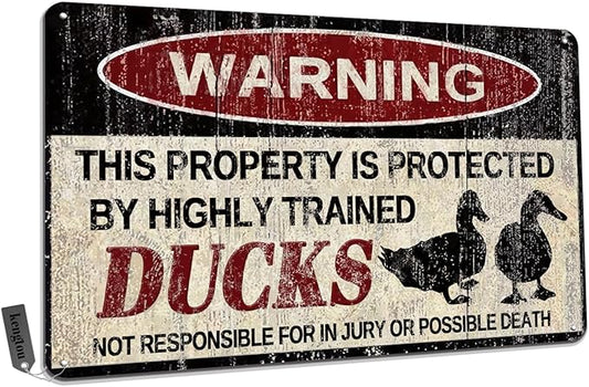 Ducks Tin Sign, Funny Metal Sign, Vintage Wall Decor 12x8 Inch - Warning This Property Protected by Ducks