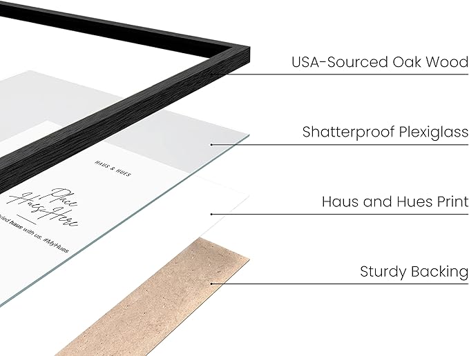HAUS AND HUES 9x12 Black Oak Frame - Poster Holder and Wall Display (Wood Finish)