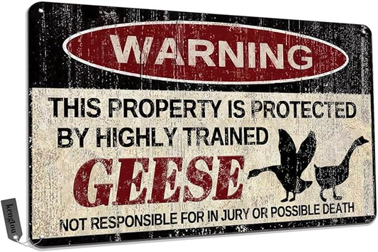 Geese Tin Sign, Funny Metal Sign, Vintage Wall Decor 12x8 Inch - Warning This Property Protected by Geese