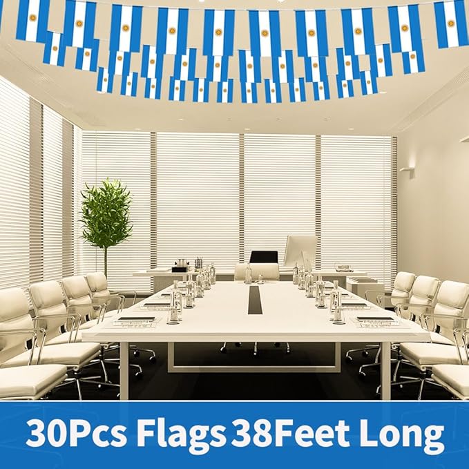 Argentina Flag Small Mini Argentine Flag Banner Decorations for Parades, Parties, Classrooms, Gardens, and Festivals (Argentina)