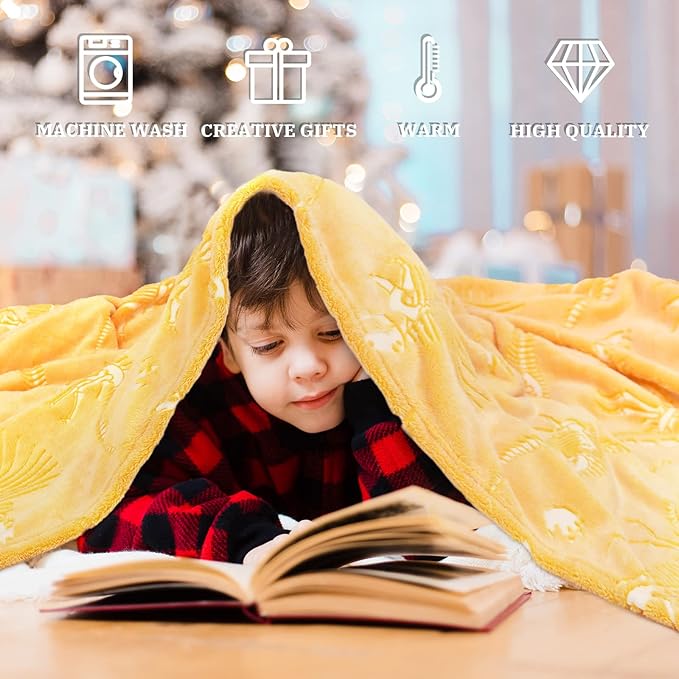 Soft Blanket Dinosaur Fleece Blankets Kids Dinosaur Gifts for Boys 50"x60"