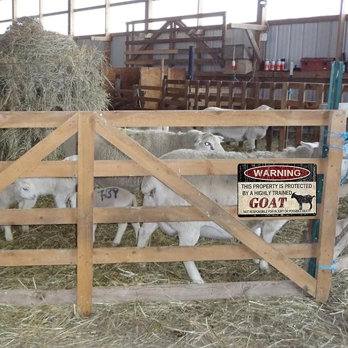 Chickens Tin Sign, Funny Metal Sign, Vintage Wall Decor 12x8 Inch - Warning This Property Protected by Chickens